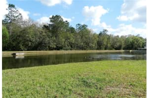 8264 Settles Crk Lp, Lakeland, FL 33810, Sold 03/24/17