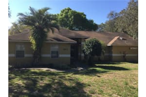 1517 Morning Dove Loop E, Lakeland, FL 33809, Sold 05/24/17