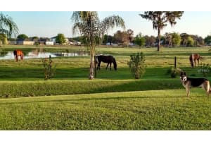 676 Sunway Ln, Winter Haven, FL 33880, Sold 04/30/18