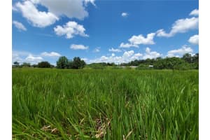 WOODLAND AVE, LAKELAND, FL 33801 - MLS#MFRL4924795