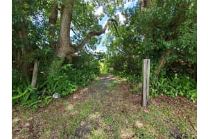 WOODLAND AVE, LAKELAND, FL 33801 - MLS#MFRL4924795