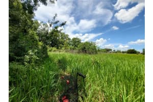 WOODLAND AVE, LAKELAND, FL 33801 - MLS#MFRL4924795