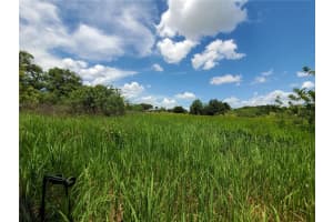 WOODLAND AVE, LAKELAND, FL 33801 - MLS#MFRL4924795