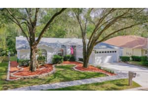 24219 Painter Dr, Land O' Lakes, FL 34639, Sold 11/23/21