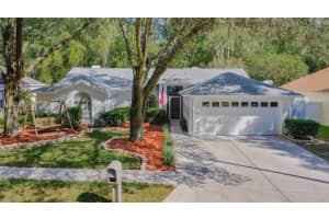 24219 Painter Dr, Land O' Lakes, FL 34639, Sold 11/23/21