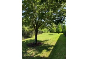 2561 Lexington Oak Dr, Brandon, FL 33511, Sold 06/15/22
