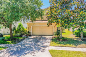 9305 Wellstone Dr, Land O' Lakes, FL 34638, Sold 06/17/22