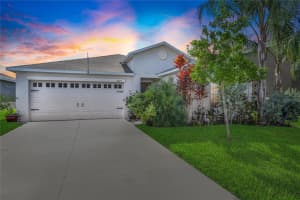 10121 CRESTED FRINGE DR, RIVERVIEW, FL 33578 Sold 10/07/22