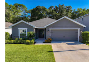 925 PEARLY RIDGE LN, LAKELAND, FL 33809 Sold 08/12/22