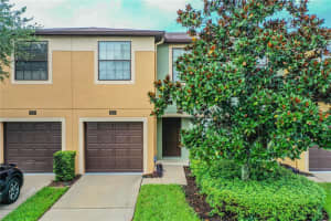 2523 OLEANDER LAKES DR, BRANDON, FL 33511 Sold 08/26/22
