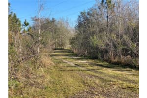 3103 Cypress Trails Drive, Polk City, Florida 33868