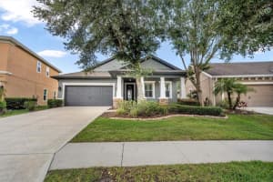 6247 HAWK GROVE COURT, WESLEY CHAPEL, FL 33545 Sold 09/29/23