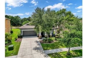 6247 HAWK GROVE COURT, WESLEY CHAPEL, FL 33545 Sold 09/29/23