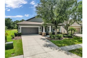 6247 HAWK GROVE COURT, WESLEY CHAPEL, FL 33545 Sold 09/29/23