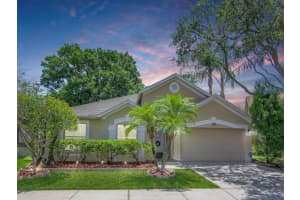 8833 CYPRESS HAMMOCK DRIVE, TAMPA, FL 33614 Sold 07/07/23