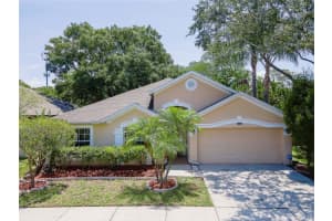 8833 CYPRESS HAMMOCK DRIVE, TAMPA, FL 33614 Sold 07/07/23