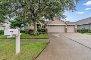 31604 BEARDED OAK DRIVE, WESLEY CHAPEL, FL 33543 Sold 11/30/23