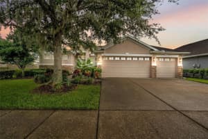 31604 BEARDED OAK DRIVE, WESLEY CHAPEL, FL 33543 Sold 11/30/23