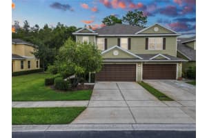 20217 INDIAN ROSEWOOD DRIVE, TAMPA, FL 33647 Sold 05/06/24