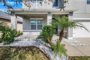 3345 TAWNY GROVE PLACE, LAKELAND, FL 33811 Sold 04/30/24
