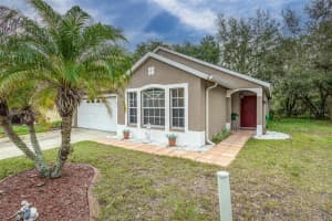 6505 SUMMER COVE DRIVE, RIVERVIEW, FL 33578 Sold 04/18/24