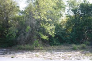 W STARR AVE, LAKE WALES, FL 33853 - MLS#MFRL4942342