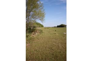 W STARR AVE, LAKE WALES, FL 33853 - MLS#MFRL4942342