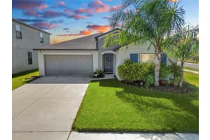 10103 ROSE PETAL PLACE, RIVERVIEW, FL 33578 Sold 03/15/24