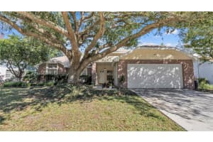 12224 WILDBROOK DRIVE, RIVERVIEW, FL 33569 Sold 01/02/25