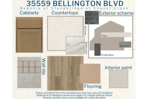 35559 BELLINGTON BLUFF, ZEPHYRHILLS, FL 33541 Sold 03/07/25