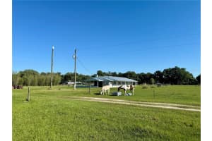 9124 CAREY ROAD, LITHIA, FL 33547 Sold 10/04/24