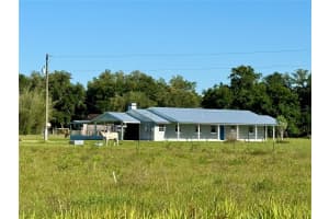 9124 CAREY ROAD, LITHIA, FL 33547 Sold 10/04/24