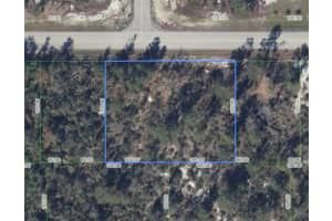 293 LINCOLN ROAD, LAKE PLACID, FL 33852 Sold 09/13/24