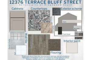 12376 TERRACE BLUFF STREET, RIVERVIEW, FL 33579 Sold 10/18/24