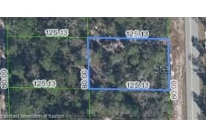 922 WESTERN BOULEVARD, LAKE PLACID, FL 33852 - MLS#MFRL4945347