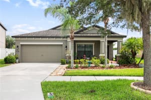 4804 WOODS LANDING LANE, TAMPA, FL 33619 Sold 12/19/24