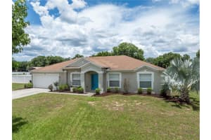 10206 BLOOMFIELD HILLS DRIVE, SEFFNER, FL 33584 Sold 08/02/24