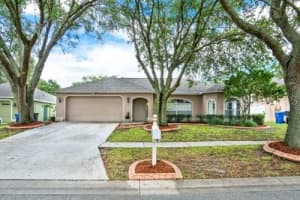 4203 AMBER RIDGE LANE, VALRICO, FL 33594 Sold 08/26/24