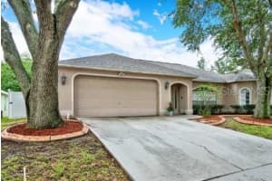 4203 AMBER RIDGE LANE, VALRICO, FL 33594 Sold 08/26/24