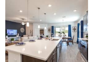 311 LILY LANE, DAVENPORT, FL 33837 Sold 11/13/24
