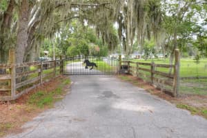 4124 SIMMS ROAD, LAKELAND, FL 33810 Sold 09/13/24
