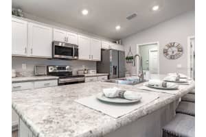 1008 MOUNTAIN FLOWER LANE, DAVENPORT, FL 33837 Sold 10/31/24