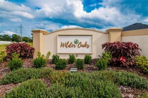 8179 WILDER LOOP, LAKELAND, FL 33809 Sold 08/26/24