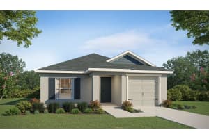 12365 TERRACE BLUFF STREET, RIVERVIEW, FL 33579 Sold 12/16/24