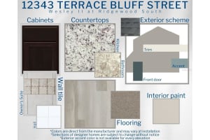 12343 TERRACE BLUFF STREET, RIVERVIEW, FL 33579 Sold 11/09/24
