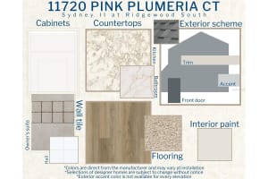 11720 PINK PLUMERIA COURT, RIVERVIEW, FL 33579 Sold 12/05/24