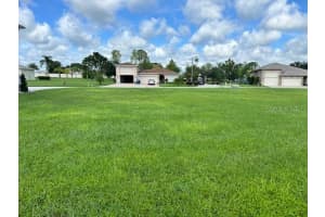317 NOLANE LANE, POLK CITY, FL 33868 - MLS#MFRL4947632