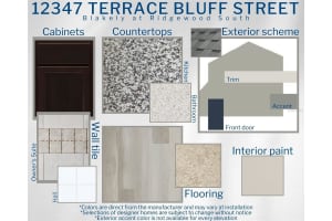 12347 TERRACE BLUFF STREET, RIVERVIEW, FL 33579 Sold 01/23/25