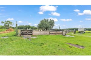 5902 THONOTOSASSA ROAD, PLANT CITY, FL 33565 Sold 12/20/24