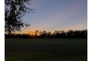 163 PRAIRIE FALCON DRIVE, GROVELAND, FL 34736 Sold 01/15/25